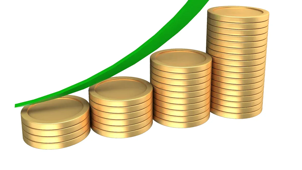 Capsule Houses ROI Factors
